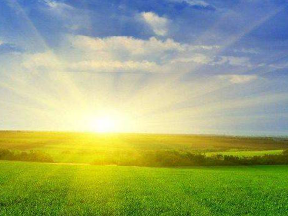 2020H1，錦州陽光戮力同心、運(yùn)營達(dá)滿產(chǎn)