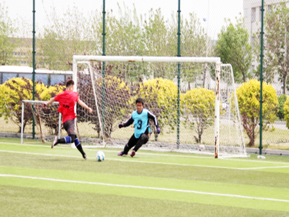 人文陽光 | 燃情綠茵場！陽光能源“陽光杯足球賽”正式開賽