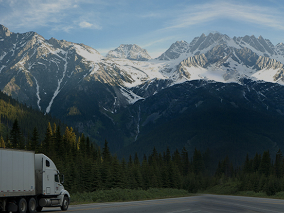 打造綠色典范工程！陽光能源助力中廣核新能源吉林白城項目順利開工