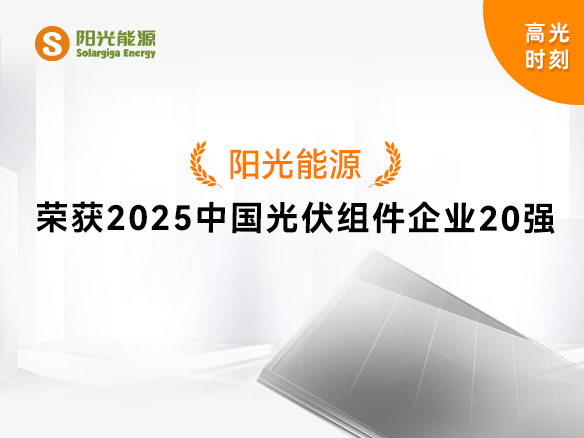 高光時刻 | 陽光能源實力登榜“2025中國光伏組件企業(yè)20強(qiáng)”